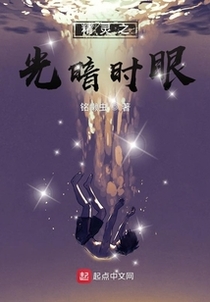 精灵之光暗时眼