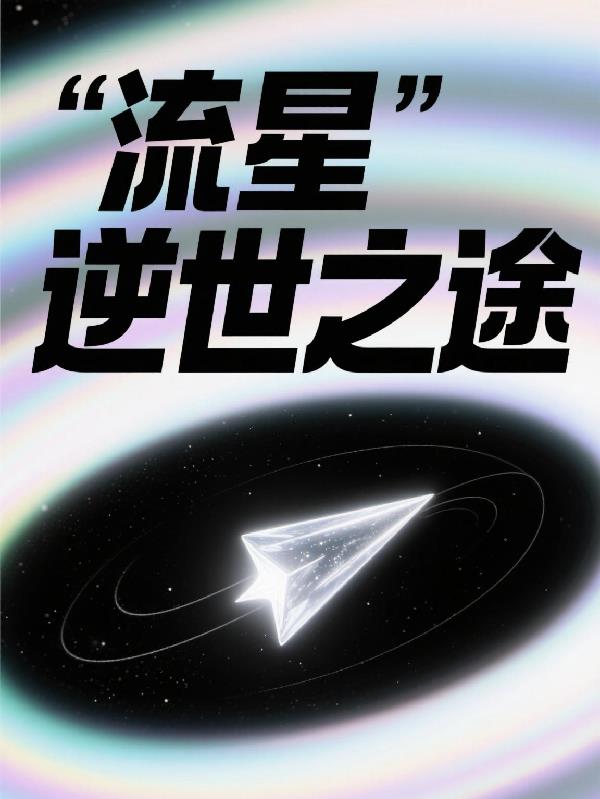 流星逆世之途