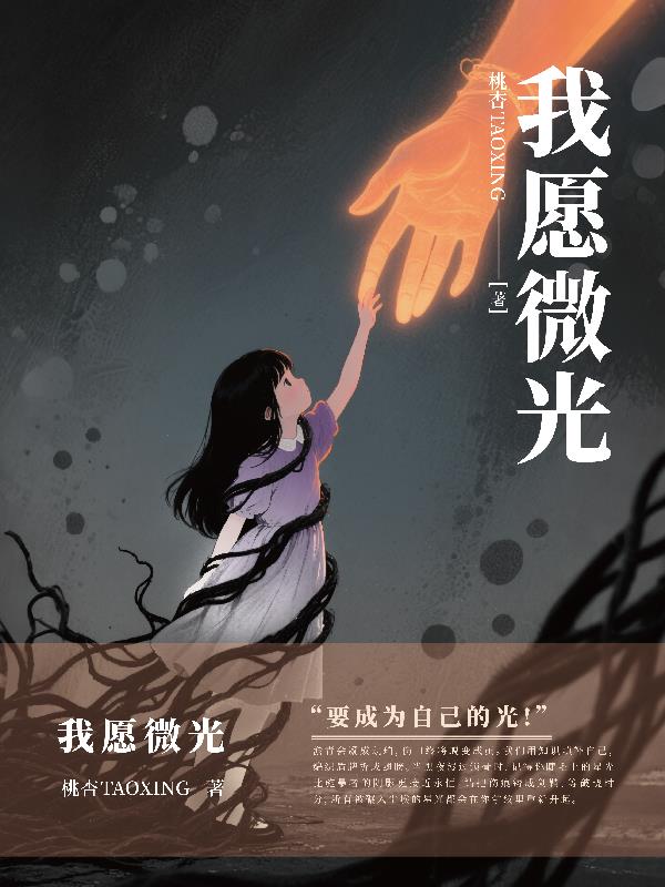 我愿微光